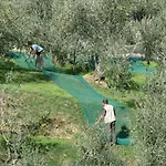 La Piana Borgo a Buggiano