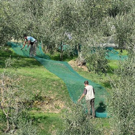 B&B Hotel La Piana Farm stay *
